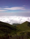 the view from the top of Mount Merbabu Royalty Free Stock Photo